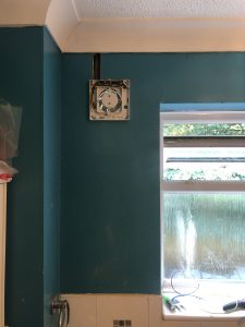 IMG_1908